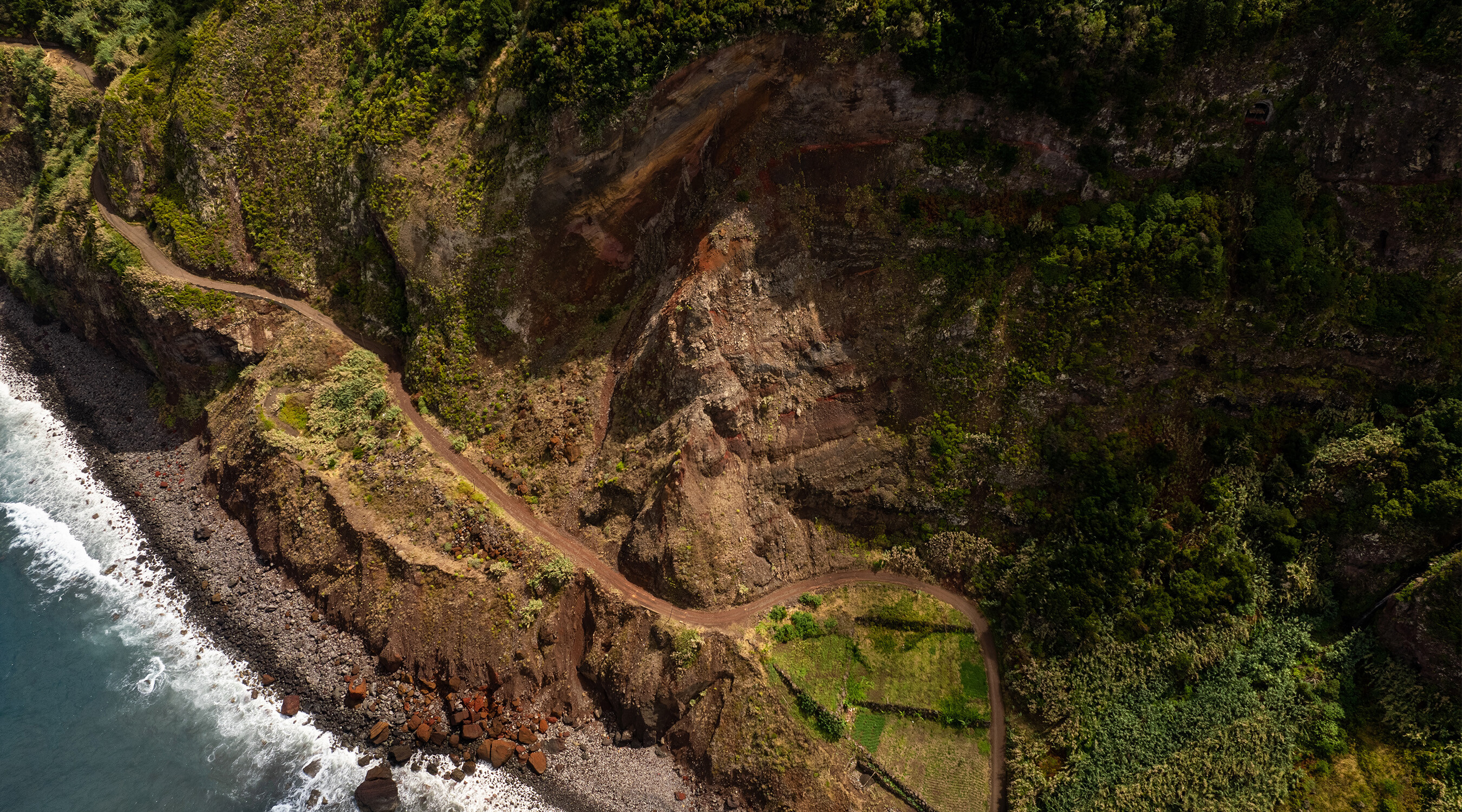 French League 1 Live